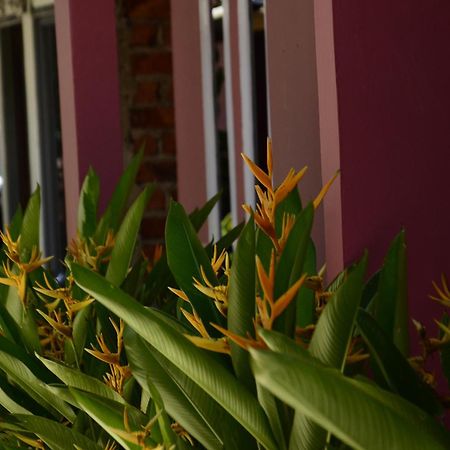 Baronda Guest House Sorong Extérieur photo