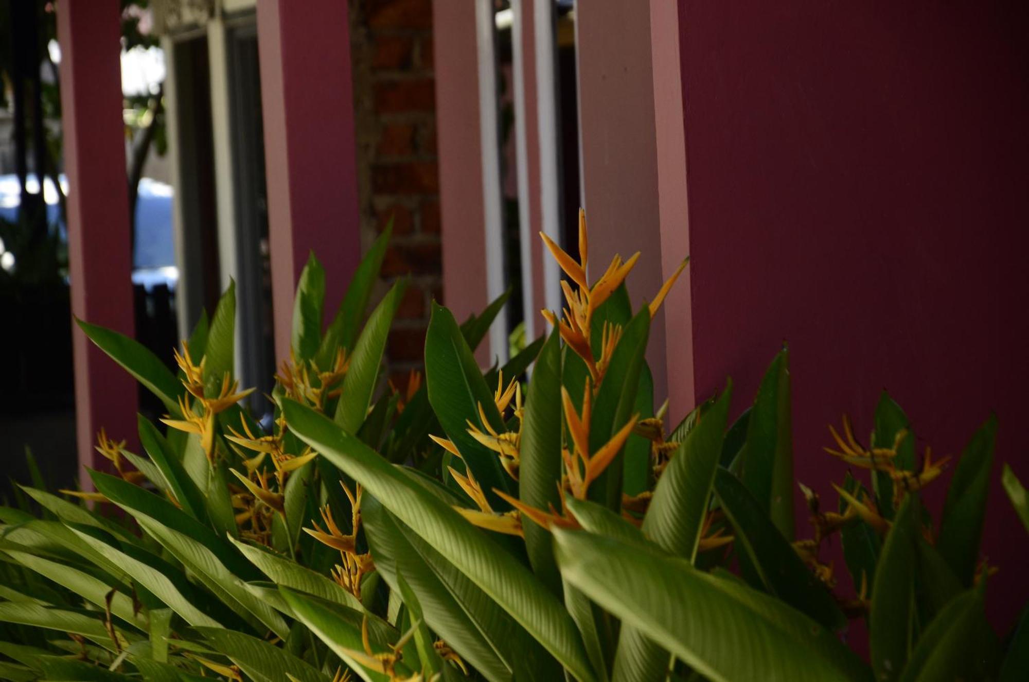 Baronda Guest House Sorong Extérieur photo