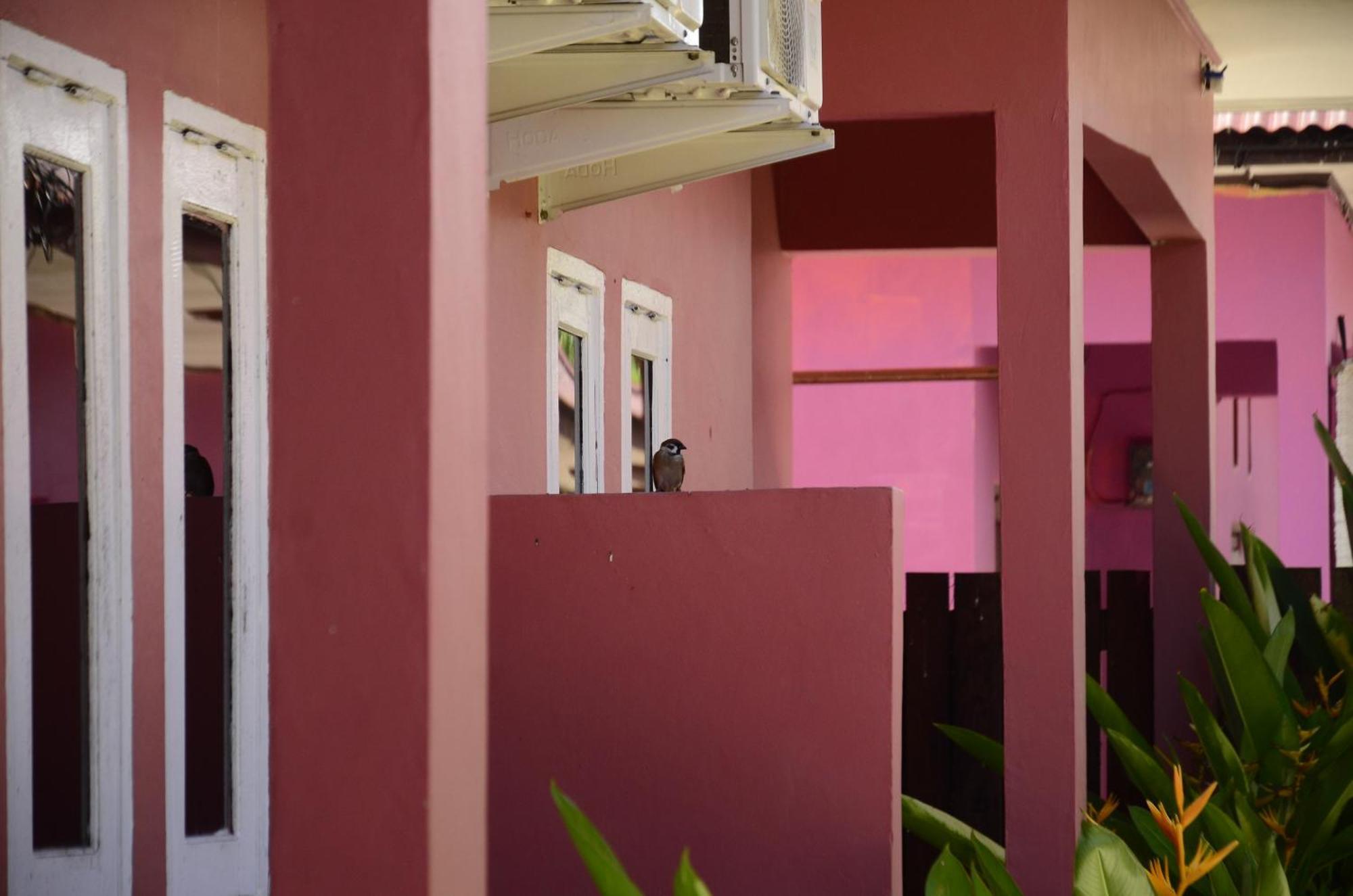 Baronda Guest House Sorong Extérieur photo